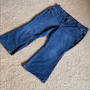 Lane Bryant high rise bootcut denim jeans 26 short